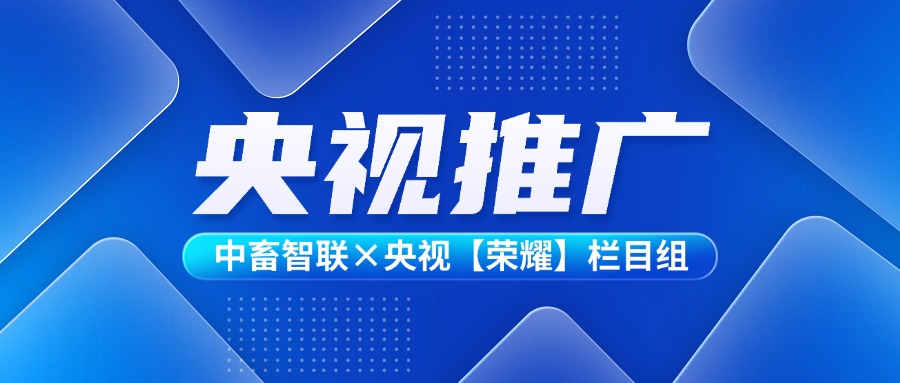 【央视推广】中畜智联黄总受邀对话著名主持人朱军老师
